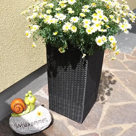 Haus Leo * وستندورف