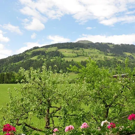 Privat bolig Haus Leo